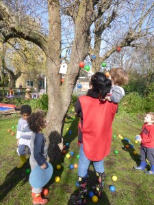 Colourful Trees!